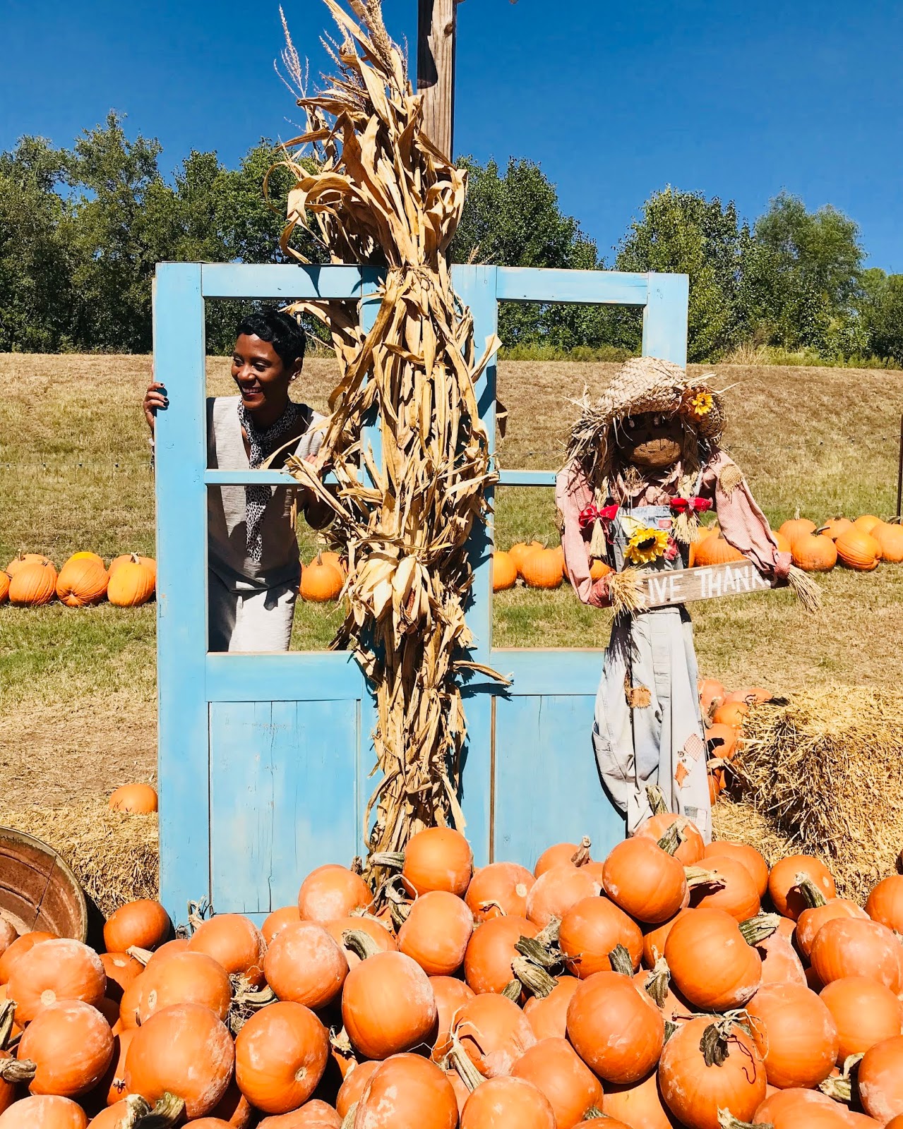 Pumpkins Walking All Around Us In The Fall Pumpkins Walking All Around Us In The Fall