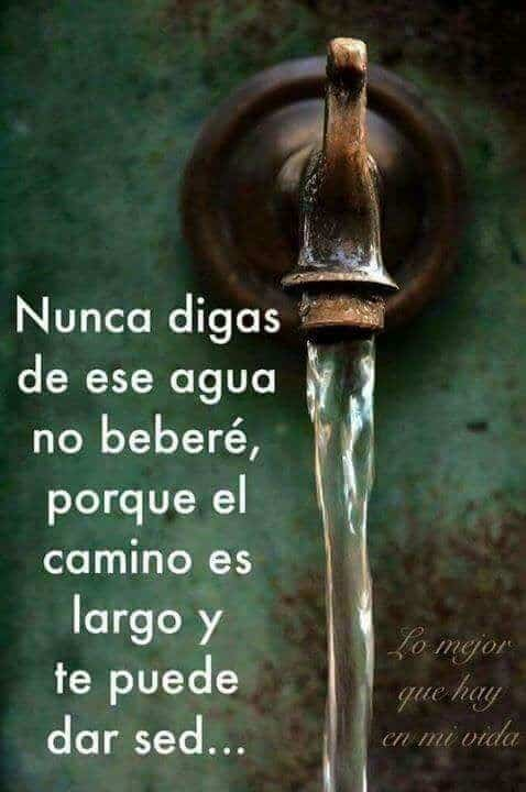 Frases De Reflexion Cortas De La Vida Real Frases Corazones Pensamientos