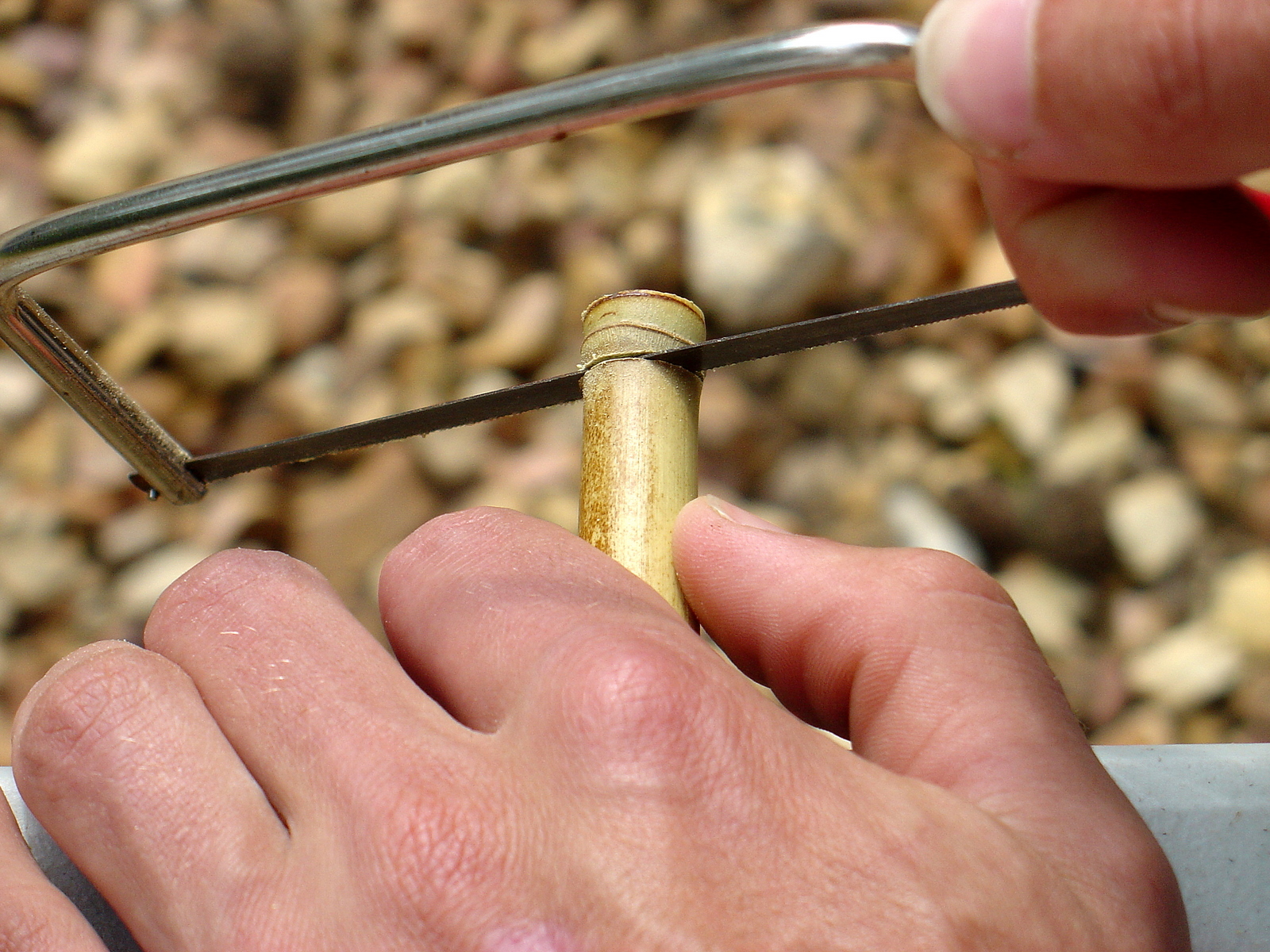 Tyler Dahl It's finally here! The long awaited bamboo dip pen tutorial!