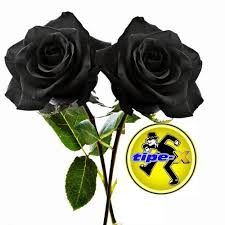 Zona Musik8 Download 4 21mb Tipe X Mawar Hitam Mp3