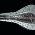 El misterio de 1991 VG y 1999 CG9, los meteoritos que nos siguen