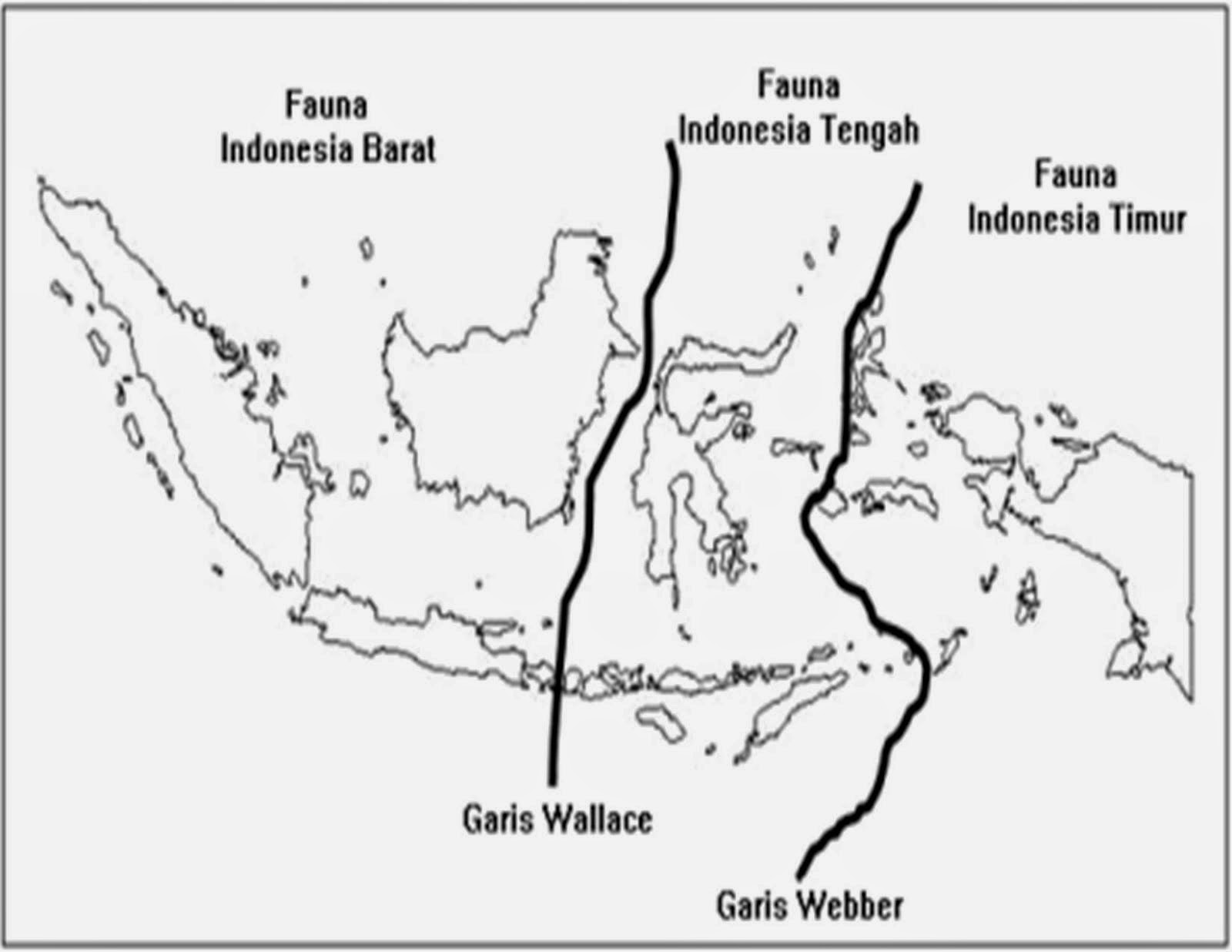 Persebaran Flora Dan Fauna Di Indonesia Katalog Geografi