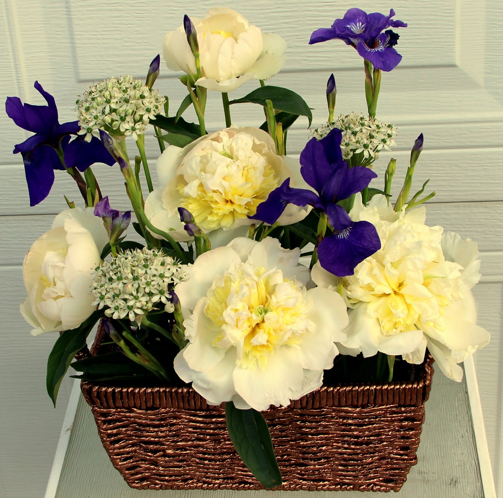 PEONIES AND SIBERIAN IRISES IN SPRING BASKET ARRANGEMENTS Sowing the