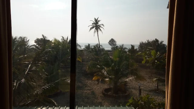 View from room
