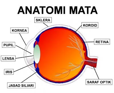 Alat Optik Pengertian Macam Gambar Rumus Referensi Soal Dan Pembahasan Bab 1 Alat Optik Pengertian Macam Gambar Rumus Referensi Soal Dan Pembahasan Bab 1