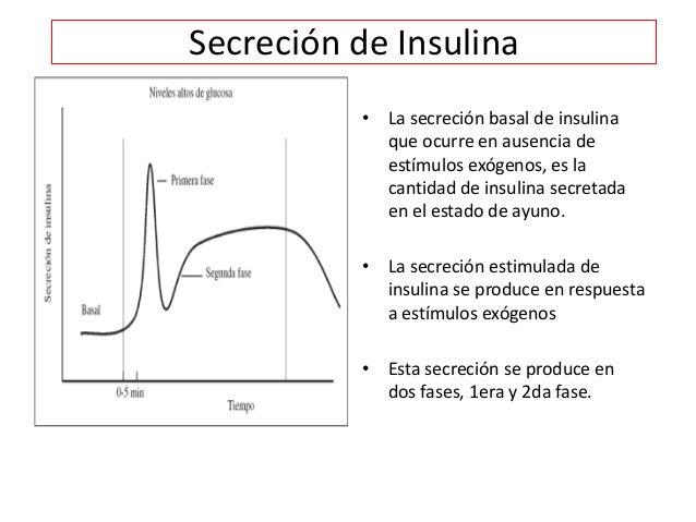 diabetes de intercambio de hidrógeno potasio dka