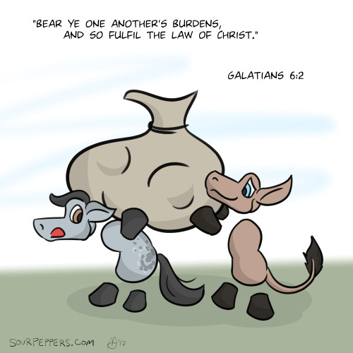 sour-peppers-july-2017