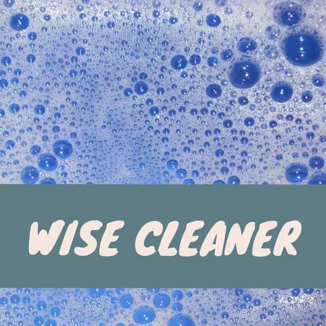 Wise Cleaner DIY Kit review and recommendation