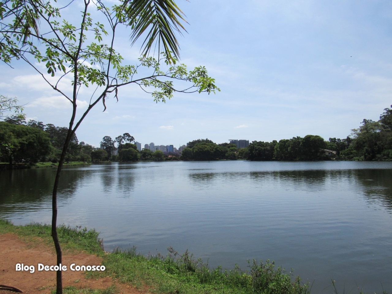 Ibirapuera o parque mais querido de São Paulo Ibirapuera o parque mais querido de São Paulo