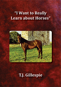 I Want to Really Learn about Horses by T.J. Gillespie (Tom na gCapaillín)
