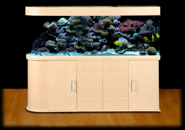 Use aquarium as a room divider – 26 examples.