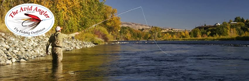 The Avid Angler, Fly Fishing Outfitters