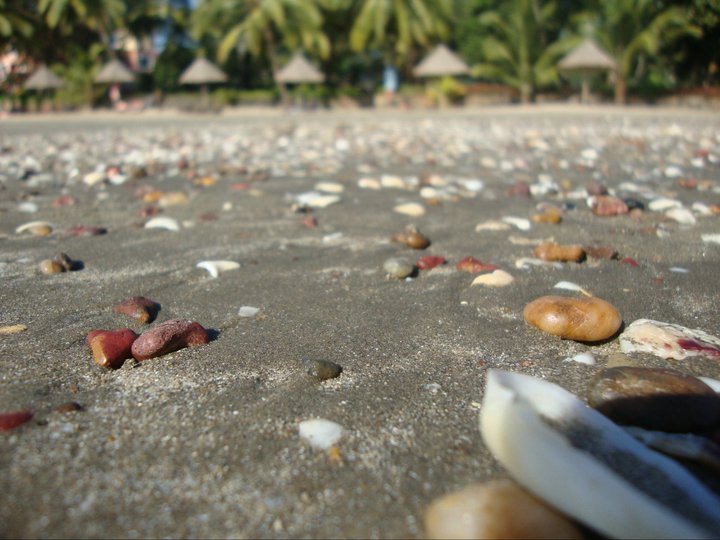 The Awkward Panda Sand, Sea and Seashells Goa 2011