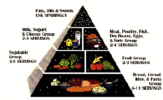 Calorie Count Of Various Indian Foods Calorie Count Of Various Indian Foods