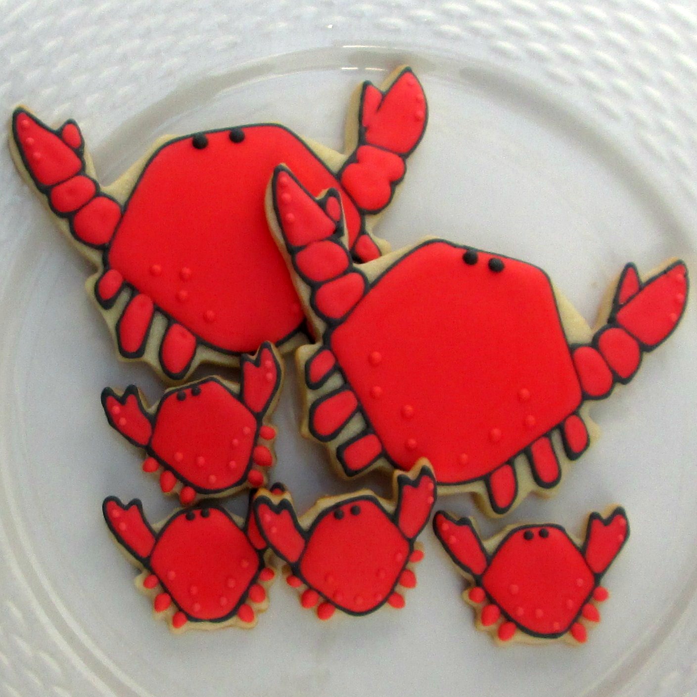 I'm in love with these little guys. Look at those minis! Minis get me