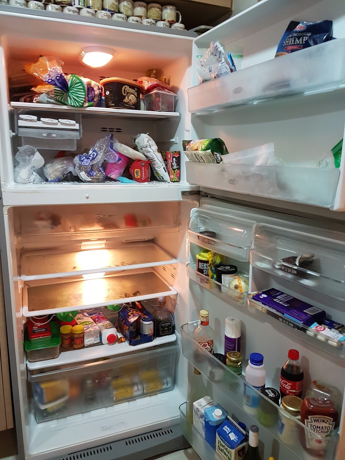 Refrigerator repair +65 90070520 Refrigerator Repair Electrolux