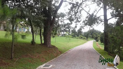 Execução da calçamento de pedra em rua de pedra com as guias de pedra em entrada da sede da fazenda em Atibaia-SP. Calçamento com pedrisco cinza com espessura de 3 cm.