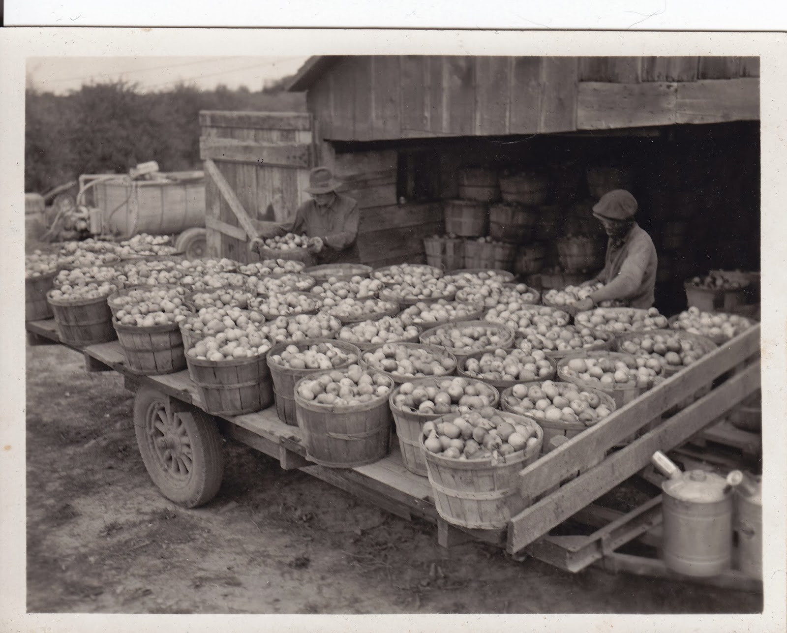 Somers Wisconsin Pioneer History Thompson Apple Orchard