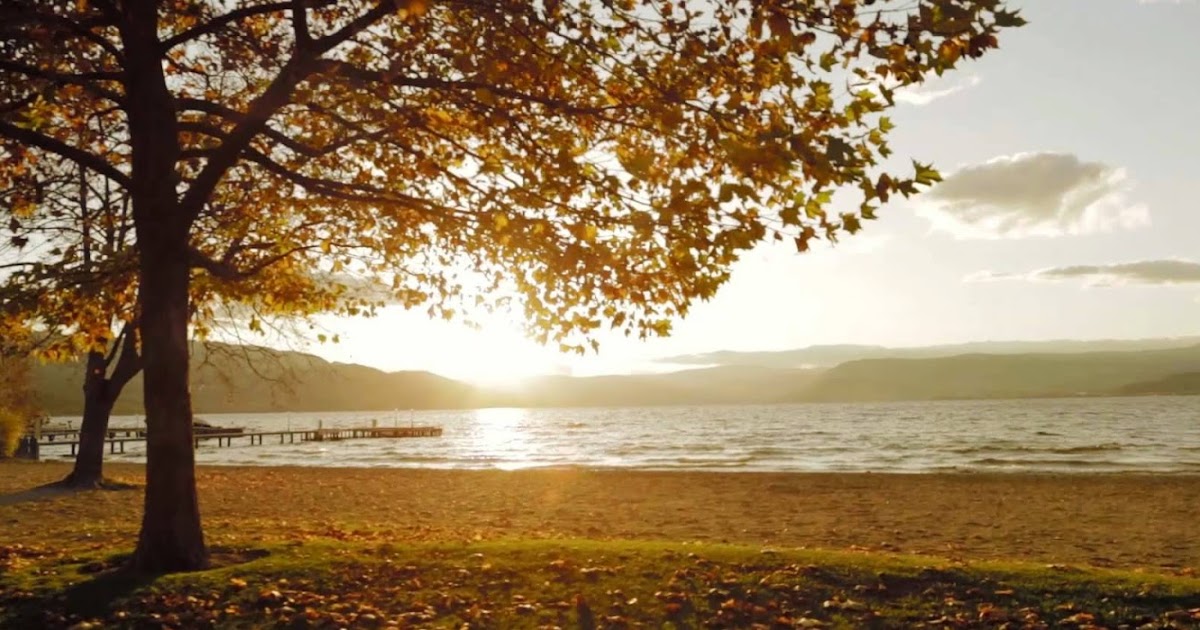 Love is all we need картина. All you need is love картинки. All i need is. Air all i need клип. Песня i need your love.