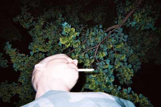 Entire Disposable Camera Film