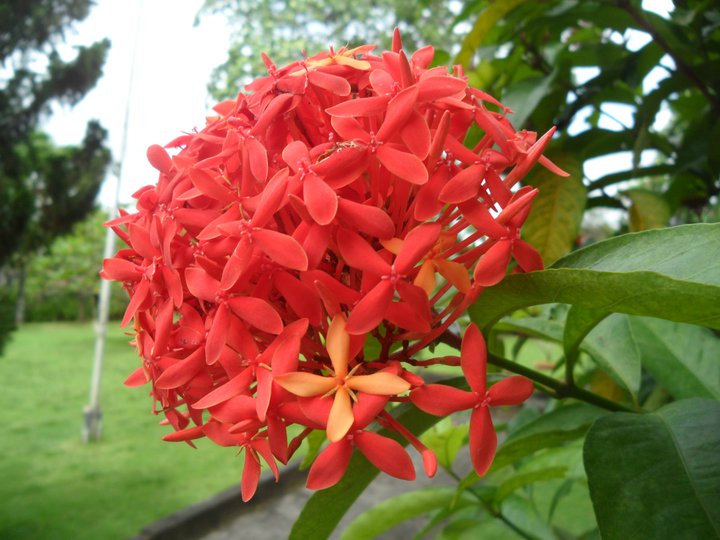 March 2011 Lirik Lagu Rohani Kristen Top Christian