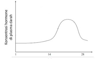 Latihan Soal dan Kunci Jawaban OSN Biologi SMA 2019 (+Pdf)
