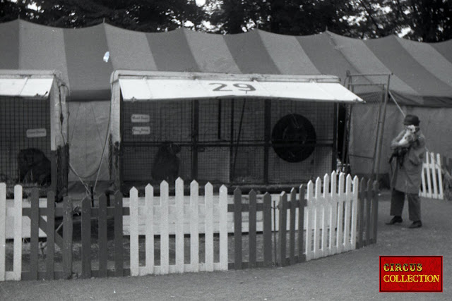 petites roulottes cages 