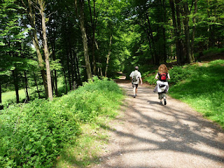 Zwei Wanderer laufen auf einem breiten Weg durch den Wald