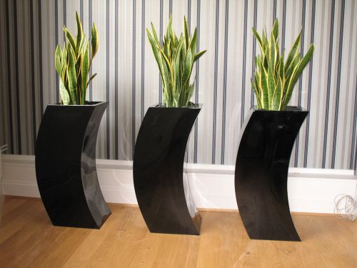 S Office Plants Curvy Pots And Planters Curvy Pots And S Planters