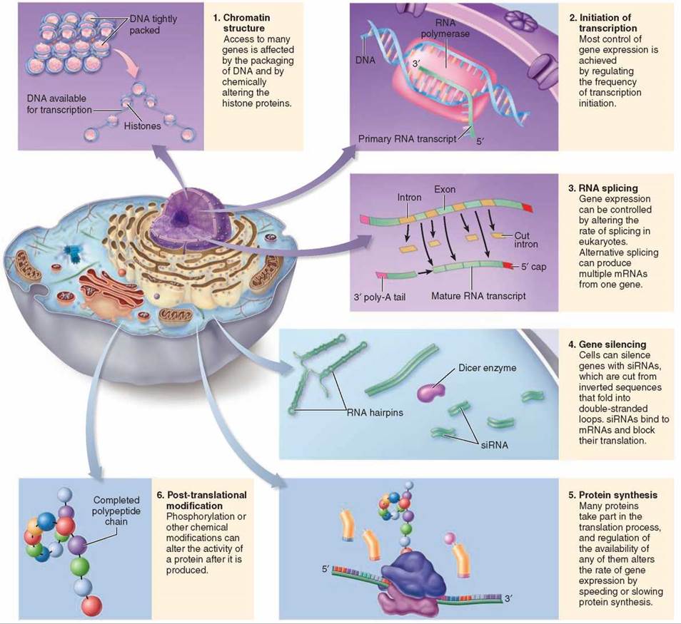 Modern Science refutes the Evolutionary theory It’s Easy to Be an
