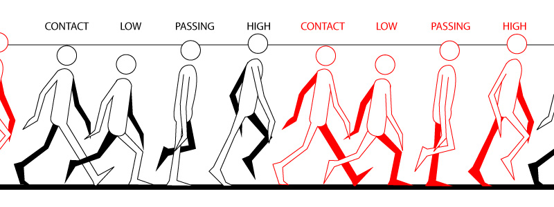 How To Animate A Walk Cycle Gambaran