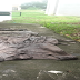 Encuentran en una finca de San Juan cadáver de niña que estaba desaparecida Encuentran en una finca de San Juan cadáver de niña que estaba desaparecida