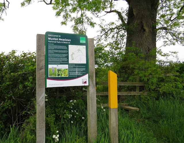 Muston Meadows, Leicestershire