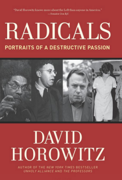 Radicals - Portraits Of A Destructive Passion