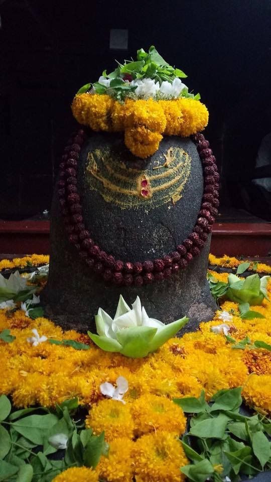 12 jyotirlinga photo with name