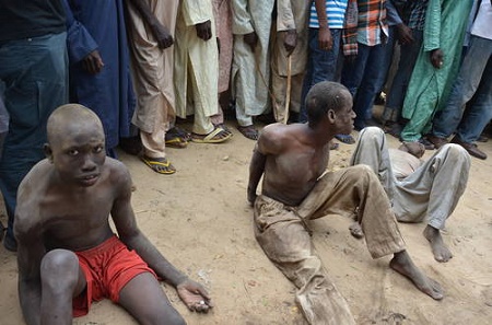 boko haram arrested borno