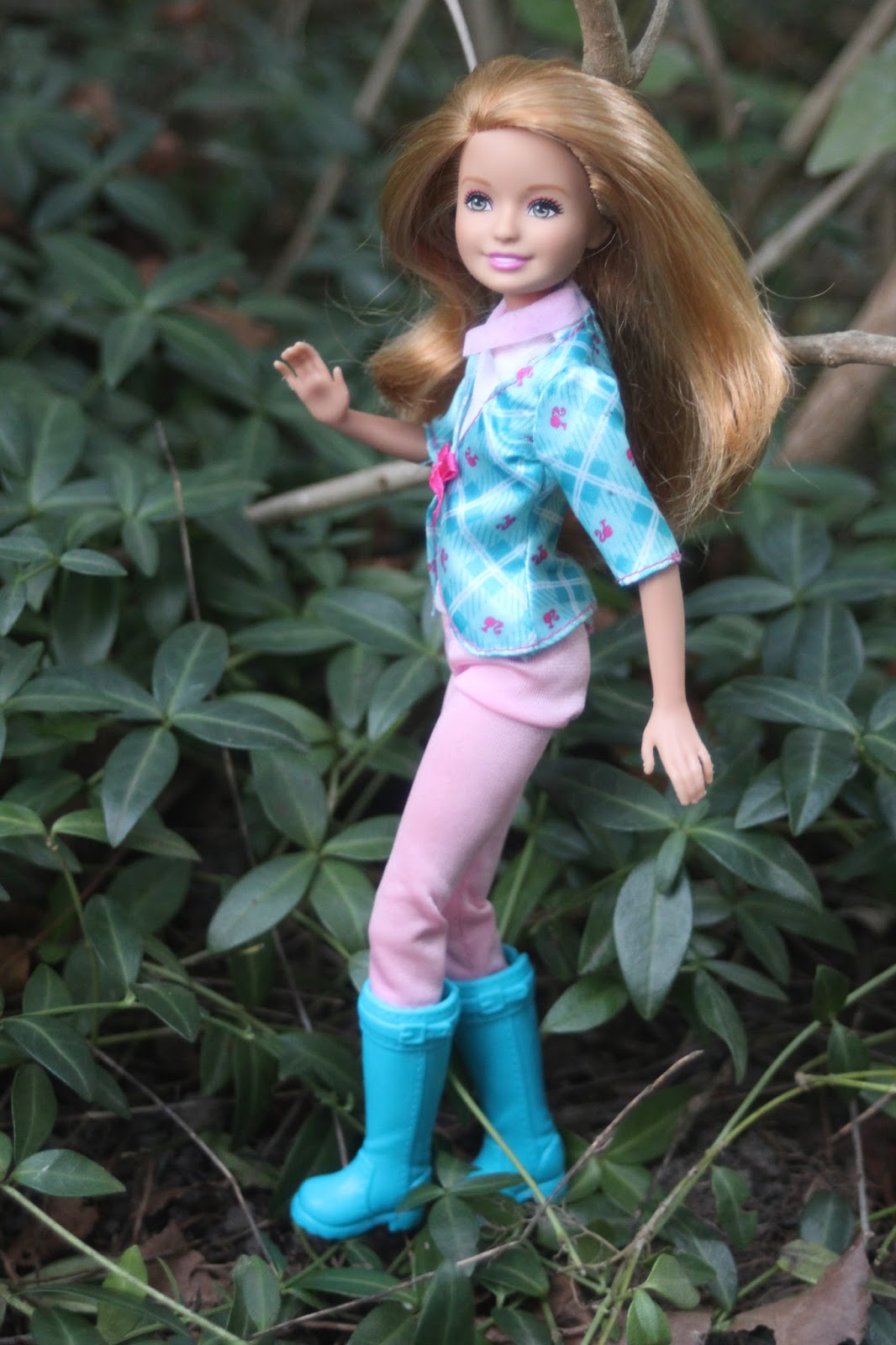 barbie's strawberry blonde sister