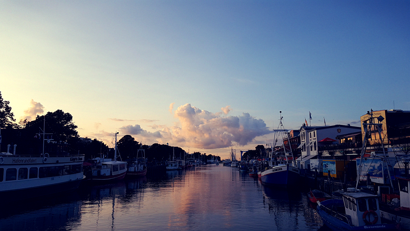0381 Dein Stadtkulturmagazin Fur Rostock Und Umgebung Januar