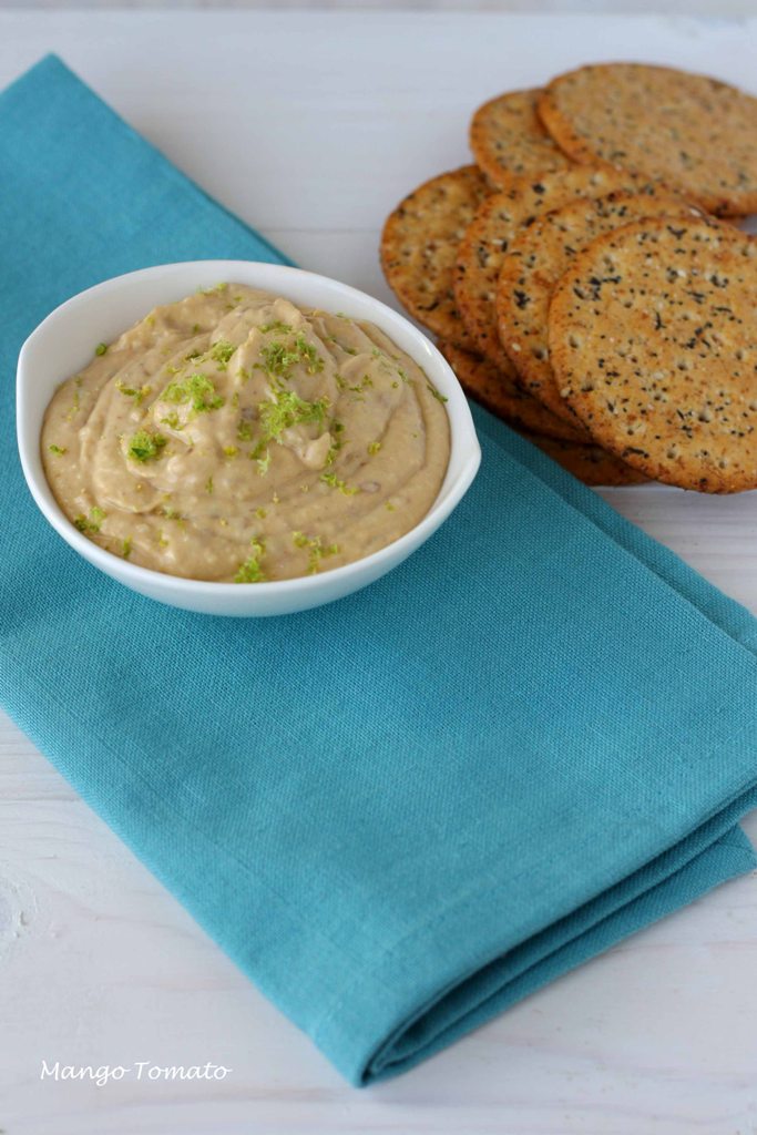 Mango & Tomato Spicy Zesty Hummus what to do with Classic Sabra hummus?