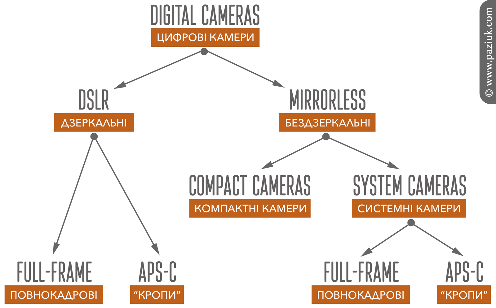 types of digital cameras