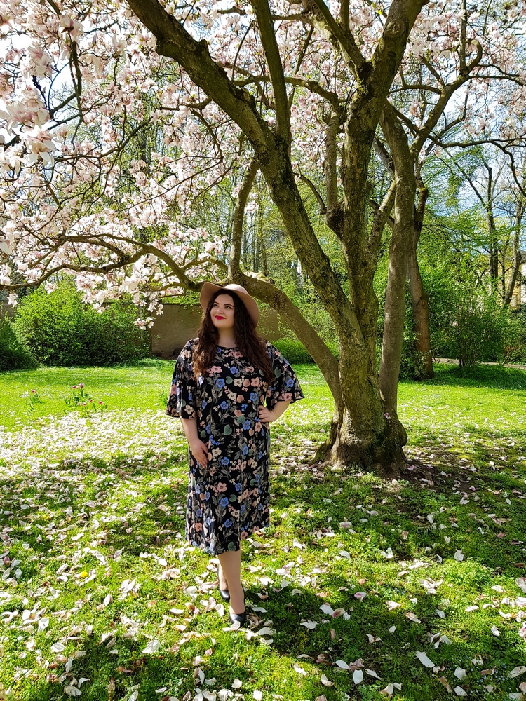 Wandern In Munchen Von Herrsching Ammersee Zum Kloster Andechs