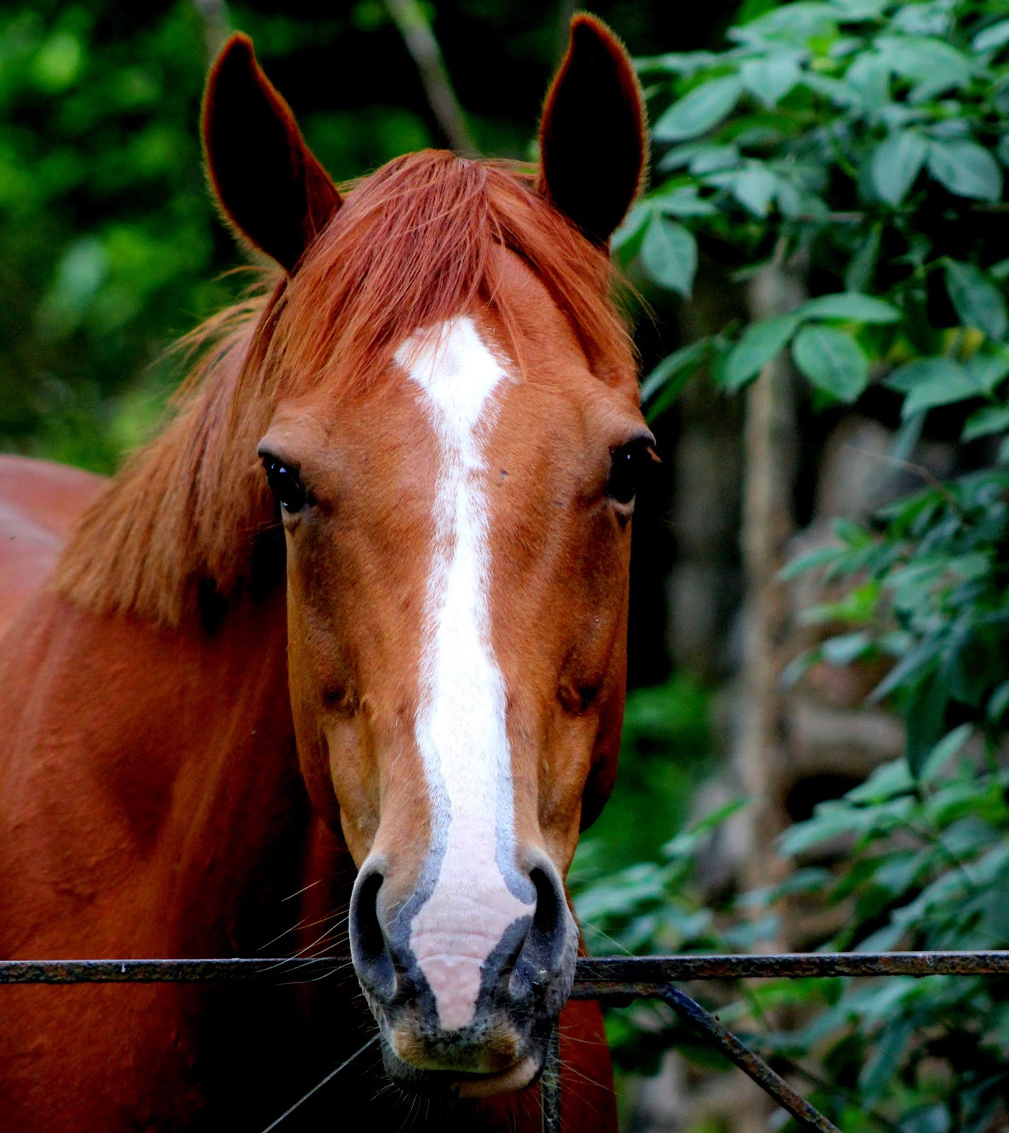 THE SMALL THINGS Theatre of dreams. Or, there is no such thing as only