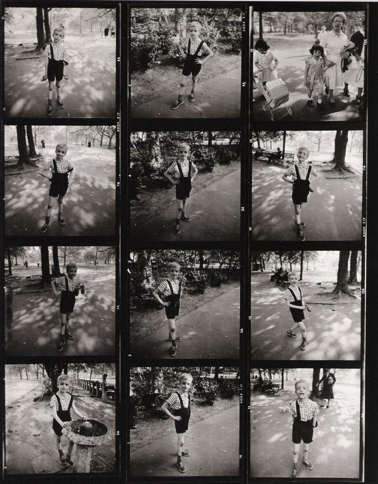 Dissertation sur platon diane arbus