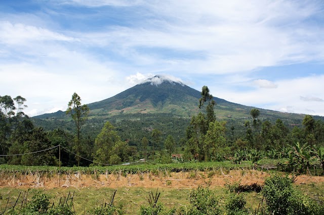 Gunung Cikuray Dibuka, Garut Memasuki Masa Adaptasi Kehidupan Baru ( New Normal )