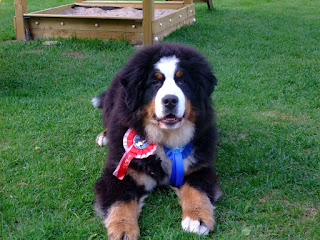 Juuston lapset/Ridon Ipentue