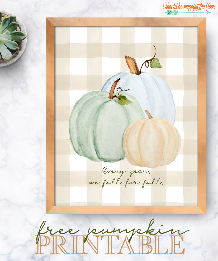 No cost Pumpkin Printable i must be mopping the flooring photograph about Printable Pumpkin Pictures referred to as Cost-free Pumpkin Printable i must be mopping the surface area