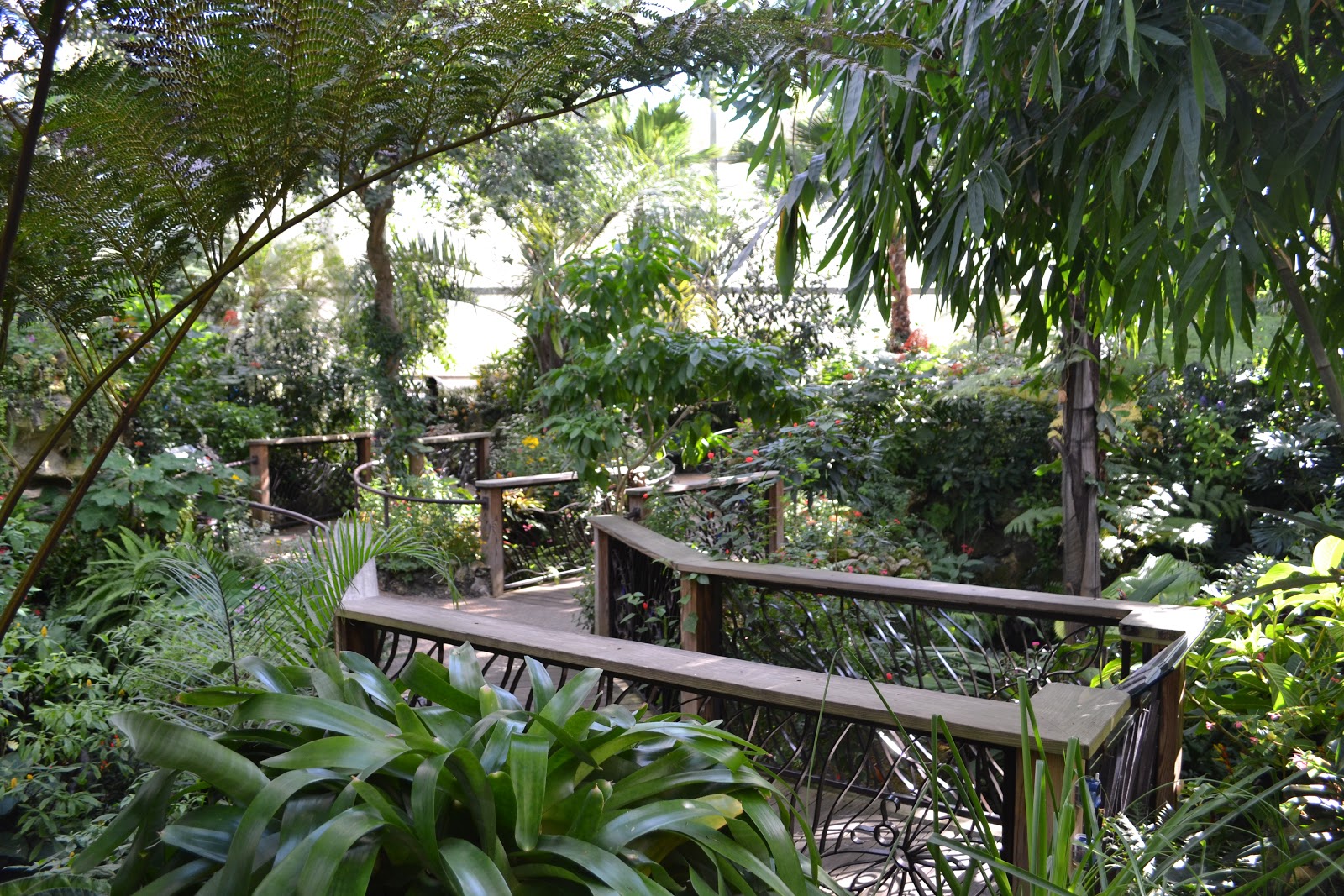 Field Trip Butterfly Rainforest At The Florida Museum Of Natural