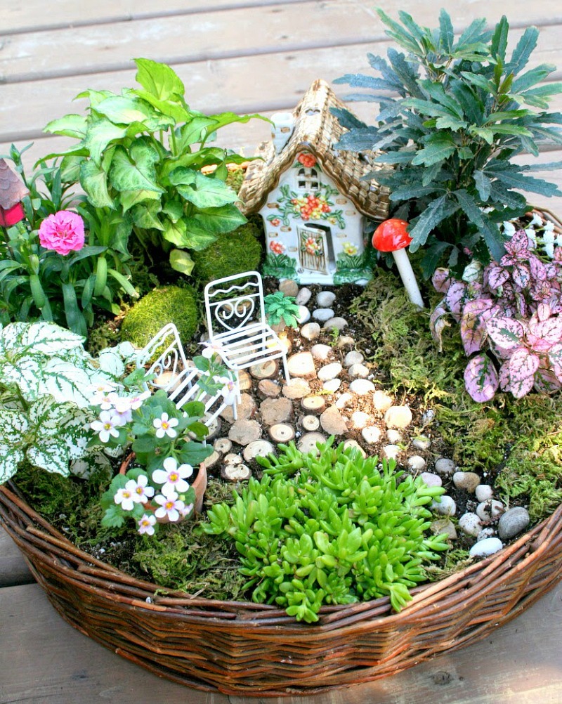 Jardines en miniatura - Guia de jardin
