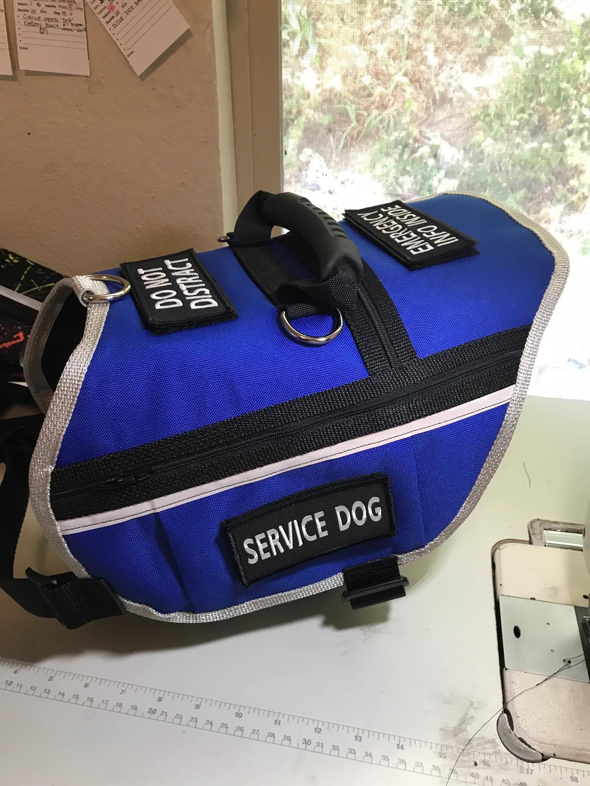 Marie's Diabetic Alert Dog