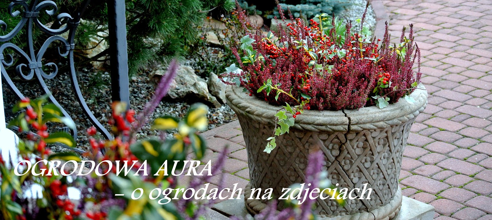 OGRODOWA AURA - o ogrodach na zdjęciach